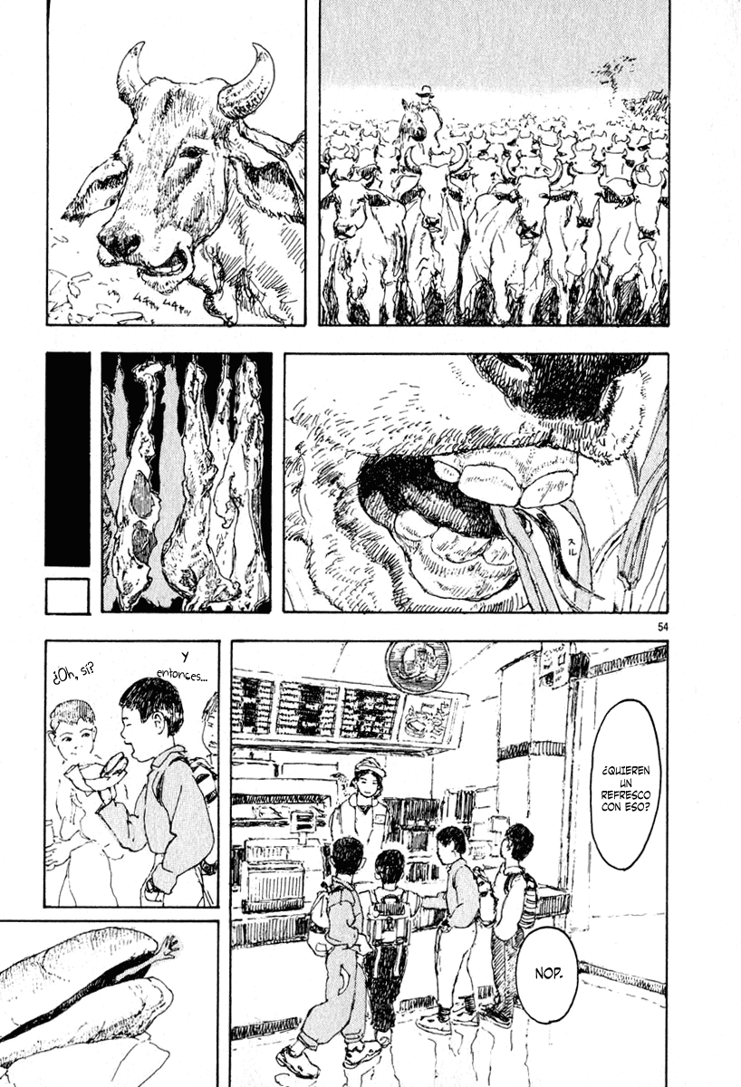 Majo (Araña Fansub)